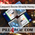 Leopard Secret Miracle Honey viagra5